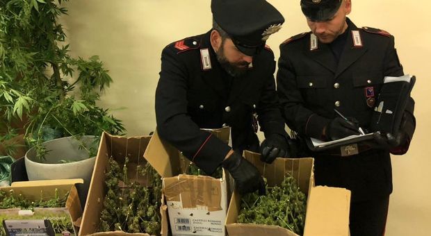 Roma, 5 chili di droga in camera da letto: arrestato pusher