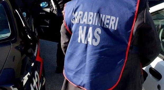 Ancona: falso dentista curava 2 pazienti, sorpreso dai Nas