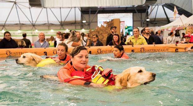 Cani da salvataggio, a Roma simulazioni tra le macerie e in acqua il 29 febbraio e il 1 marzo