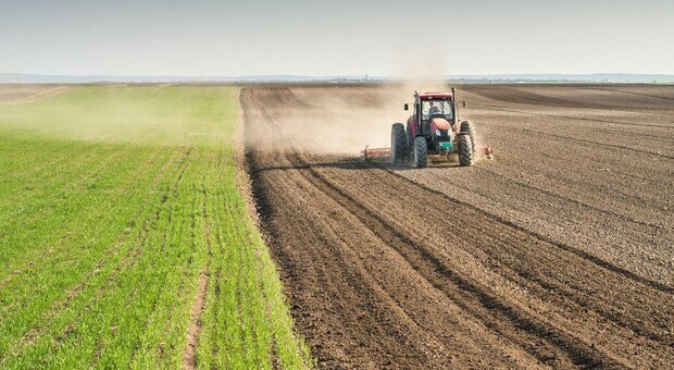 Agricoltura, la svolta digitale: robot per maggiore efficienza, sostenibilità e competitività