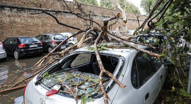 Roma, albero cade su auto a San Pietro: ferita una donna