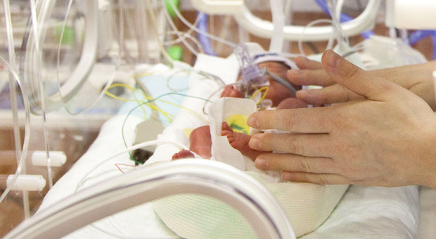 Undici neonati muoiono in ospedale in una notte: si indaga per un'infezione