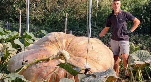«Festa dello Zuccone», la zucca più grande del mondo è italiana: 1.226 chili