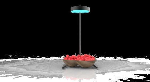 Ascoli, la lampada che illumina e sterilizza aria, acqua e cibo: geniale invenzione dello studente Marco Ripani