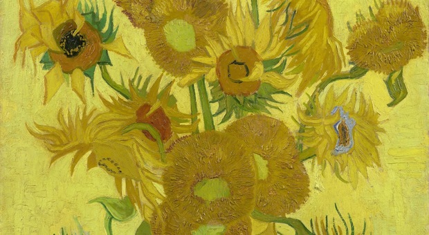 Il girasoli di van Gogh, Museo Van Gogh di Amsterdam