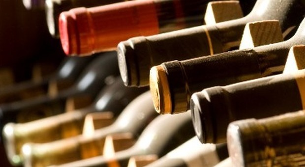 Colli al Metauro, i ladri sommellier rubano 4mila bottiglie di vino pregiato