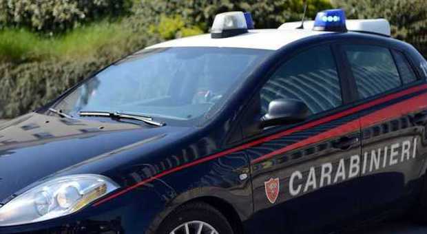 Ladro in fuga ferito da colpo di pistola durante colluttazione con carabiniere