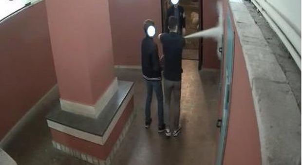 In centro con un trattatore e ascensori danneggiati: la notte brava degli studenti francesi a Macerata