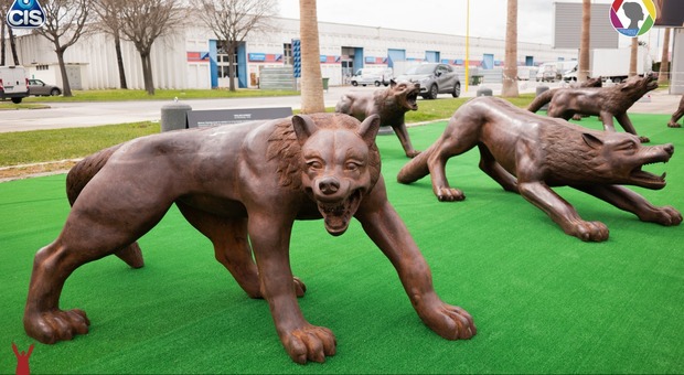 Al cis di Nola arriva «Wolves Coming» i monumentali lupi dell'artista cinese Liu Ruowang