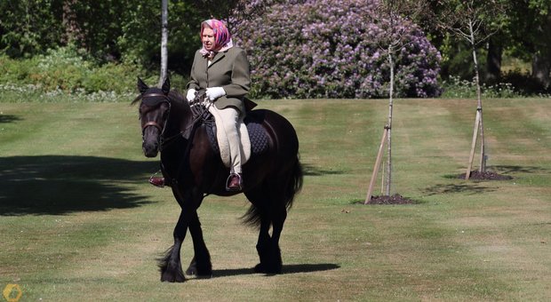 Regina Elisabetta, prima foto ufficiale dopo il lockdown: a cavallo a 94 anni
