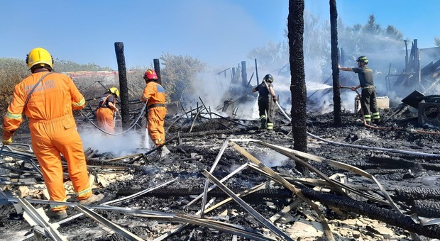 Inferno a Tarquinia, in fiamme boschi e bungalow in località Spinicci Video