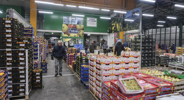 Coronavirus, un positivo al Mercato Agro Alimentare di Padova: caccia ai contatti