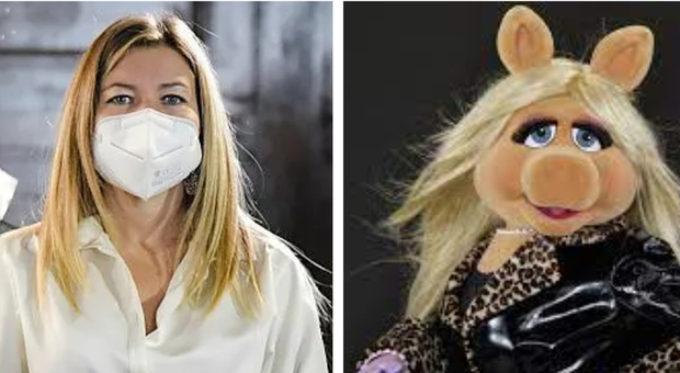 «Alessandra Clemente come Miss Piggy», l'offesa del consigliere di Fratelli d'Italia