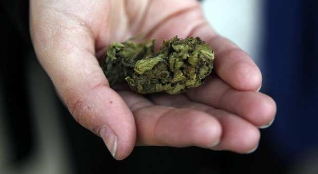 Brindisi, 16enne con zaino pieno di marijuana: arrestata
