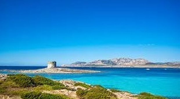 L'Asinara, un gioiello splendente nella grande cornice della Sardegna