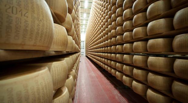 Parmigiano Reggiano vince su Campbell's: il colosso Usa deve cambiare l'etichetta dei sughi
