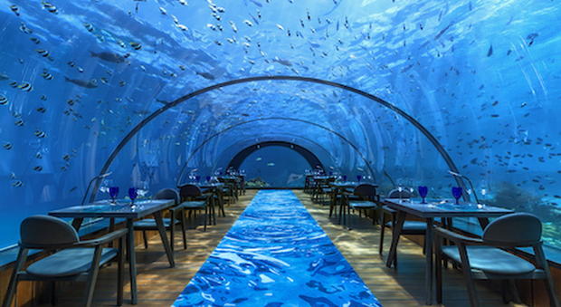 Cenare tra gli squali: alle Maldive il ristorante sottomarino più grande del mondo