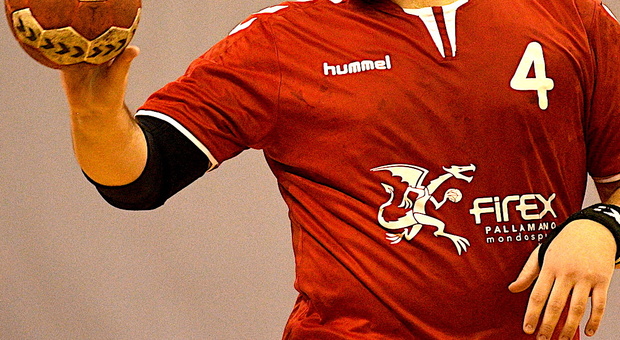 Il logo della Pallamano Belluno con il draghetto che tiene sulla zampa il pallone da handball: è lo stesso draghetto dell'Athletic Club Belluno