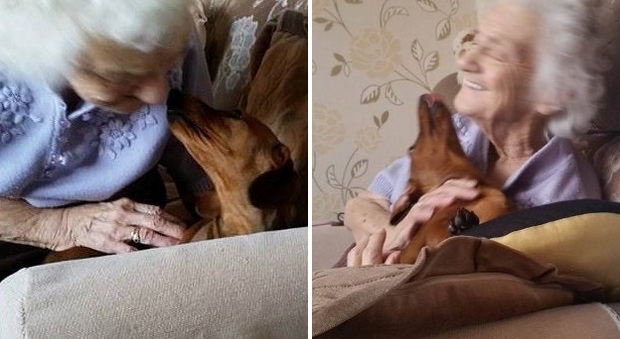 Malata di Alzheimer a 95 anni, la reazione della nonna all'incontro con il cane vi commuoverà