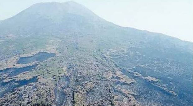 Vesuvio, habitat cancellato ma nessuno rimuove i rifiuti