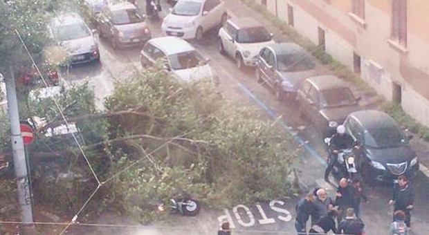 Alberi caduti a Roma, motociclista travolto e soccorso dai passanti in via De Grandis