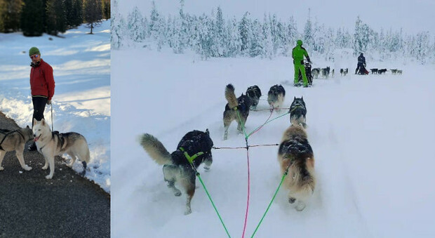 Un agordino con i suoi cani in Svezia alla gara di sleddog
