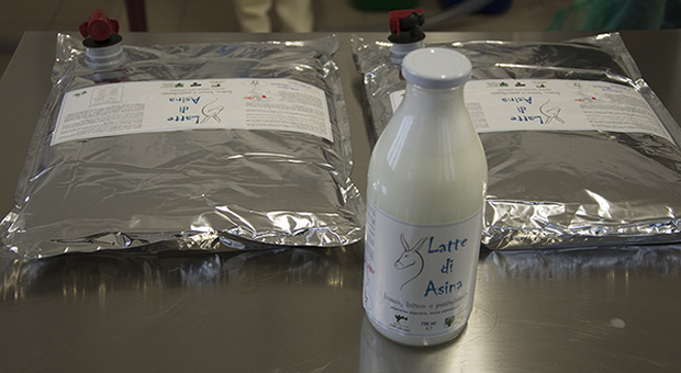 Latte prodotto, pastorizzato e confezionato presso l’allevamento di asine da latte di Ponte alle Catene, (Grosseto)