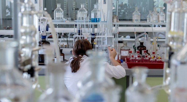 Non solo Magnifiche 7, i vincitori “a lungo” sono nella manifattura