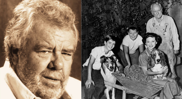 Joey D. Vieira morto, addio al bambino protagonista di «Lassie»: aveva 81 anni