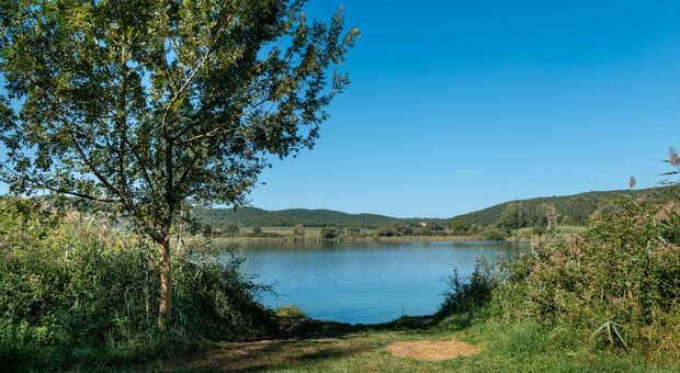 https://statics.cedscdn.it/photos/MED/2025/05/01/8810607_01184612_lago_accesa.jpg