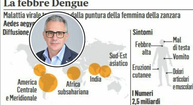https://statics.cedscdn.it/photos/MED/2025/05/03/8812902_03103901_dengue.jpg