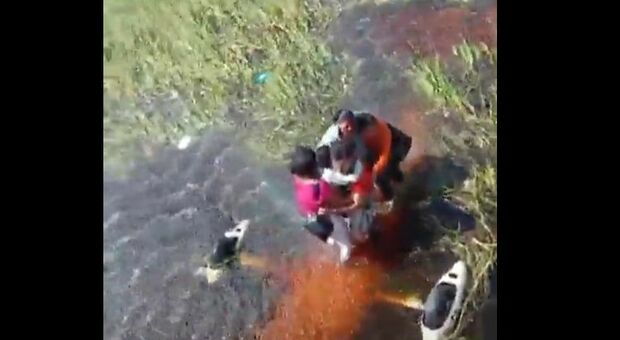 https://statics.cedscdn.it/photos/MED/2025/05/03/8813186_03162509_palude_alligatori_bloccati_incidente_aereo_bolivia.jpg