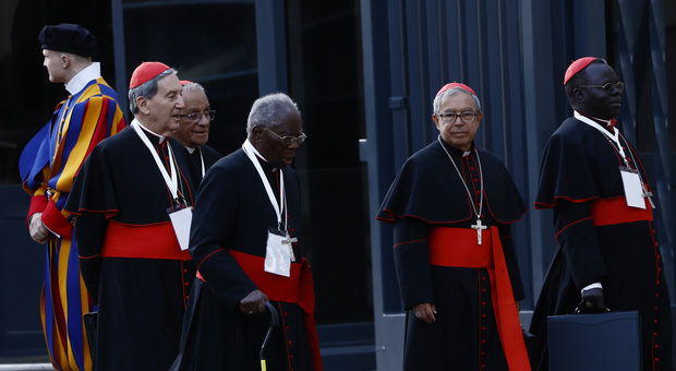 https://statics.cedscdn.it/photos/MED/2025/05/07/8819390_07011307_cardinali.jpg