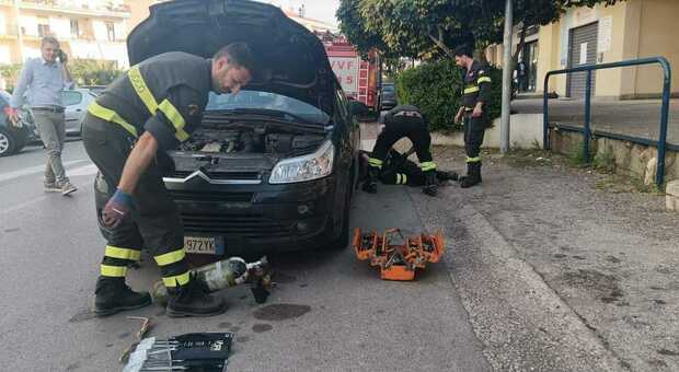 https://statics.cedscdn.it/photos/MED/2025/05/07/8820656_07091112_39d402c5_41b8_4163_8415_885976800d82.jpg