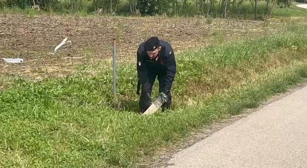 https://statics.cedscdn.it/photos/MED/2025/05/07/8821231_poster.jpg