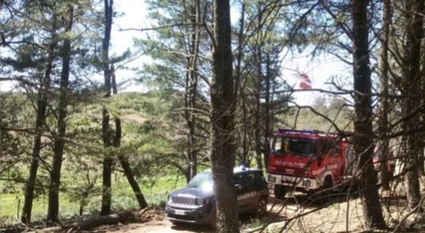 https://statics.cedscdn.it/photos/MED/2025/05/10/8828096_10222410_morto_schiacciato_albero_bosco_pereto_oggi_10_5_2025.jpg