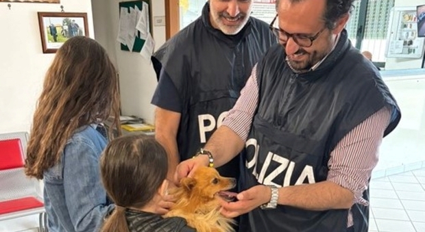 https://statics.cedscdn.it/photos/MED/2025/05/13/8833476_13133908_manduria_volpino_2.jpg