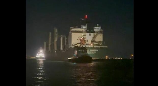 https://statics.cedscdn.it/photos/MED/2025/05/15/8837556_15092446_nave_cargo_avaria_lila_mumbai_secca_porto_venezia.jpg