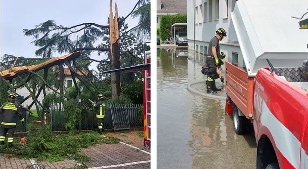 Allagamenti e alberi pericolanti, Vigili del fuoco in azione nella Marca: decine di interventi dalle prime ore della mattina