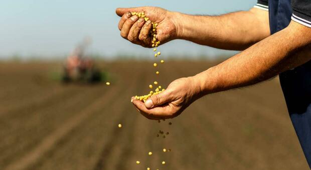 «I giovani tornano ad appassionarsi dell'agricoltura», i dati dell'osservatorio provinciale