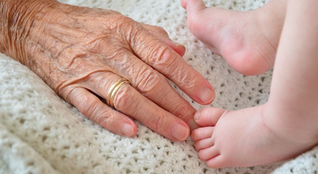 https://statics.cedscdn.it/photos/MED/2025/05/24/8856339_24113320_elderly_3628304_1280.jpg