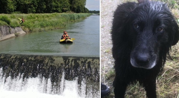 Si tuffa nel fiume per cercare di salvare il cane caduto in acqua, ma viene risucchiato dalla corrente: si cerca il 63enne scomparso nelle cascate del Cormor