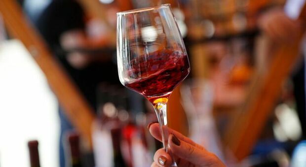 https://statics.cedscdn.it/photos/MED/2025/05/28/8863819_28112821_bere_vino_tutti_i_giorni_benefici_volontari_studio_come_candidarsi_spagna_oggi_28_5_2025.jpg