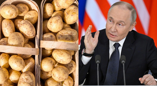 https://statics.cedscdn.it/photos/MED/2025/05/28/8864274_28175147_putin_crisi_patate.jpg