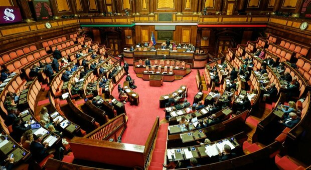 https://statics.cedscdn.it/photos/MED/2025/06/04/8877653_04104915_senato.jpg