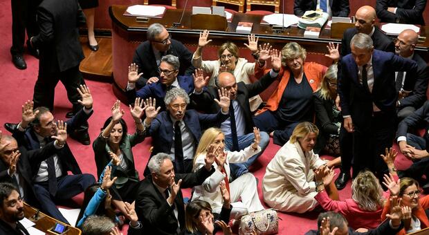 https://statics.cedscdn.it/photos/MED/2025/06/04/8878482_8b1063b8c13ffc7916be8210c40a39cc.jpg