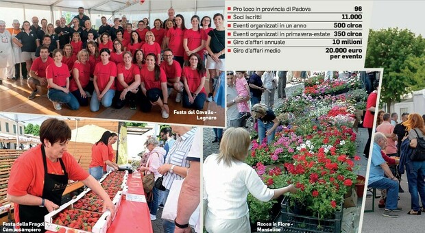 Sagre, oltre 500 all'anno nel Padovano e sempre più volontari. Giro d'affari da 10 milioni: al via la stagione calda degli eventi