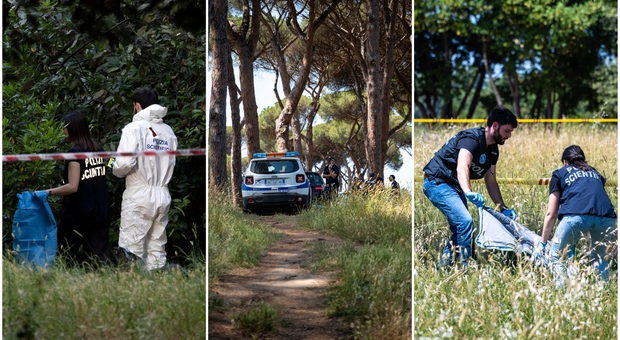https://statics.cedscdn.it/photos/MED/2025/06/08/8886532_09014201_cadaveri_villa_pamphili_1_.jpg