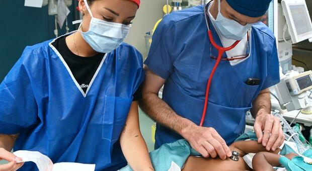 https://statics.cedscdn.it/photos/MED/2025/06/09/8887807_09152738_siamesi_genova.jpg