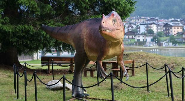 Estate ad Auronzo, dopo 17 anni è la prima senza la Lazio (e i suoi tifosi), ma il Comune cambia obiettivo: spuntano sulle rive del lago i dinosauri